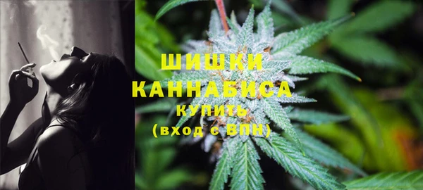 стафф Богородицк