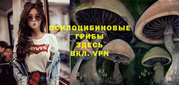 меф Богданович