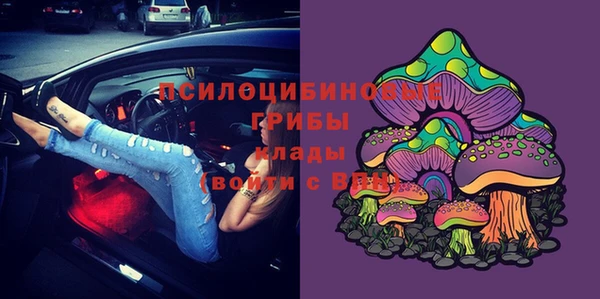 стафф Богородицк