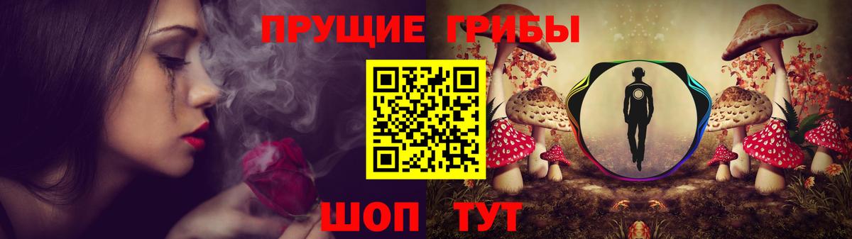 Псилоцибиновые грибы мицелий Надым