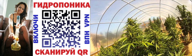 купить наркотик Надым нарко площадка наркотические препараты Шишки марихуана тримм